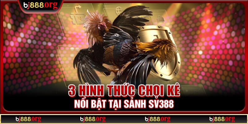 3 hình thức chọi kê nổi bật tại sảnh SV388