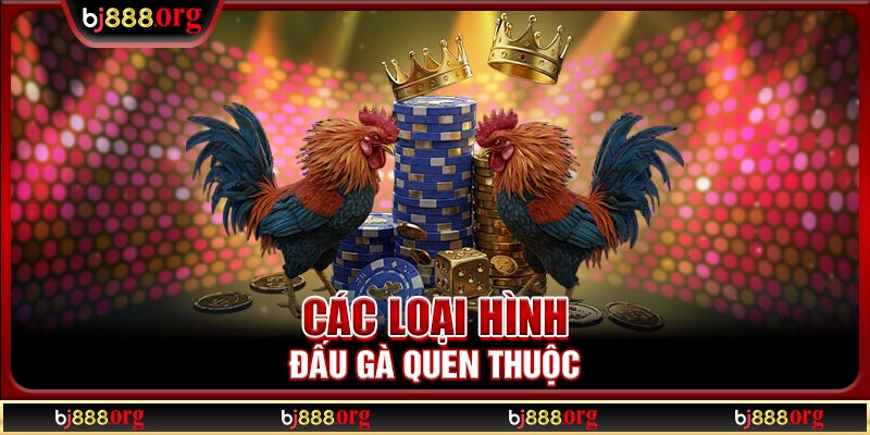 Các loại hình đấu gà quen thuộc
