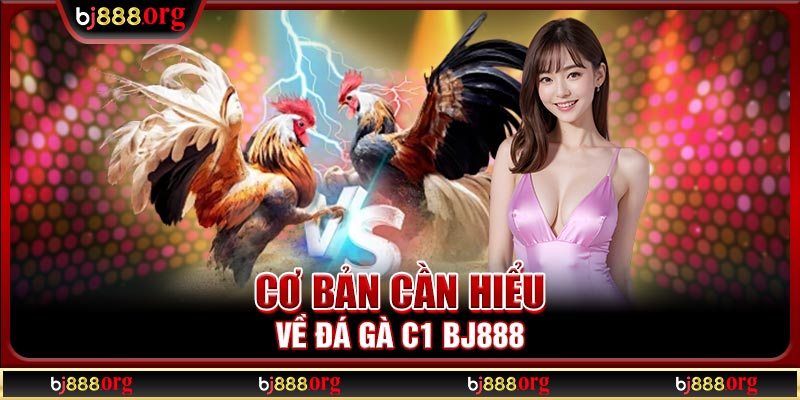 Cơ bản cần hiểu về đá gà C1 BJ888