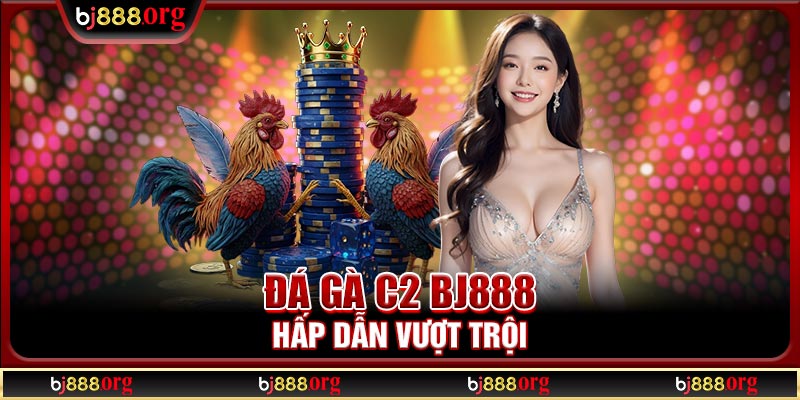 Đá gà C2 BJ888 hấp dẫn vượt trội