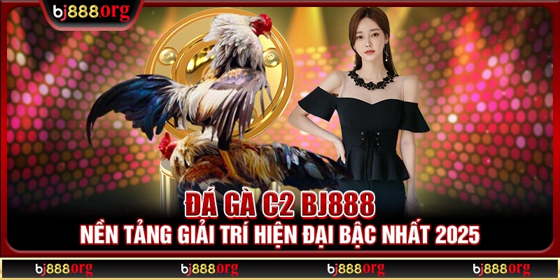 Đá gà C2 BJ888