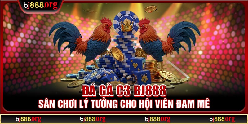 Đá gà C3 BJ888
