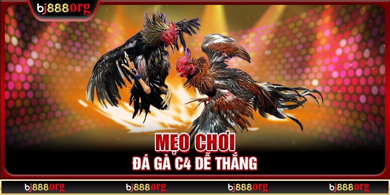 Mẹo chơi đá gà C4 dễ thắng