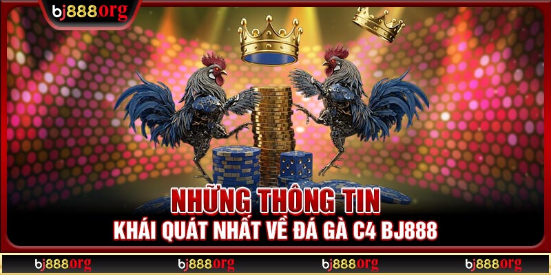 Những thông tin khái quát nhất về đá gà C4 BJ888