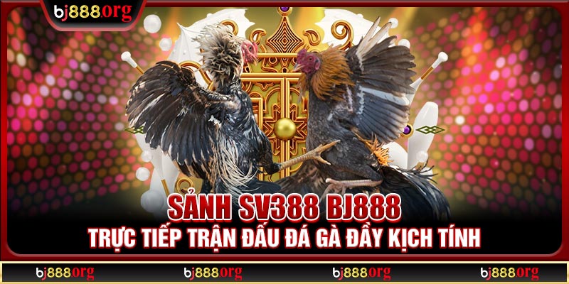 Sảnh SV388 BJ888