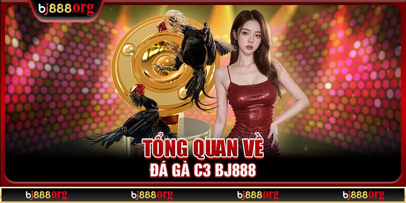 Tổng quan về đá gà C3 BJ888
