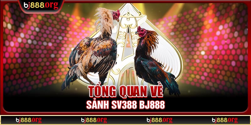 Tổng quan về sảnh SV388 BJ888