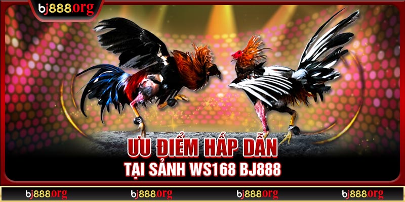Ưu điểm hấp dẫn tại sảnh WS168 BJ888
