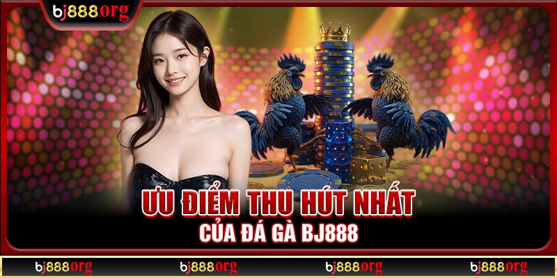 Ưu điểm thu hút nhất của đá gà BJ888